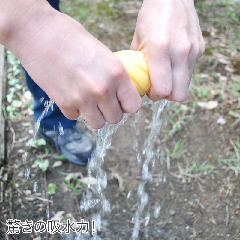 ワールドツール アストロプロダクツ AP PVA 超吸水タオル S 2003000004885(ご注文単位1パック)【直送品】