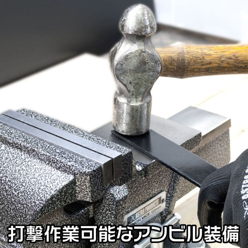 ワールドツール アストロプロダクツ AP ベンチバイス 125mm BV792 2003000007923(ご注文単位1個)【直送品】