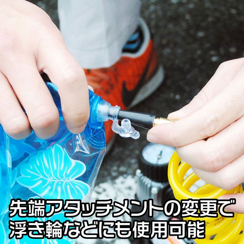 ワールドツール アストロプロダクツ AP 12V ミニエアポンプ 2004000008279（ご注文単位1パック）【直送品】