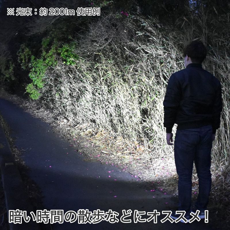 ワールドツール アストロプロダクツ AP SMD 充電式ハンドライト HL888 2005000008887(ご注文単位1個)【直送品】