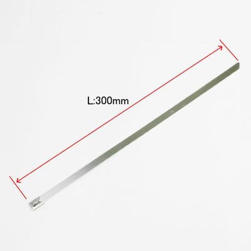 ワールドツール アストロプロダクツ AP ステンレス結束バンド 7.9mm×300mm 10本入り 2007000012499（ご注文単位1パック）【直送品】