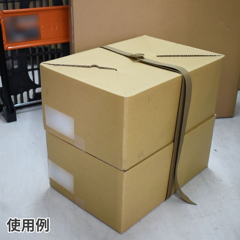 ワールドツール アストロプロダクツ AP ラダーロックベルト 2m デザートタン 2007000014561(ご注文単位1個)【直送品】