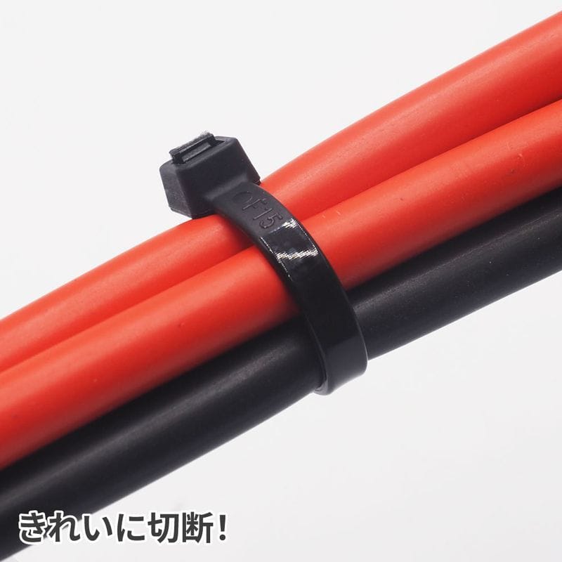 ワールドツール アストロプロダクツ AP 結束バンドツール 2007000014639(ご注文単位1個)【直送品】