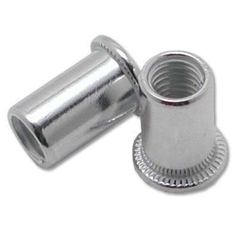 ワールドツール アストロプロダクツ AP アルミブラインドナット M4 (100個入) 2008000000554（ご注文単位1パック）【直送品】