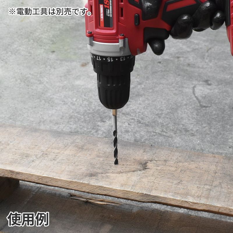 ワールドツール アストロプロダクツ AP 木工ドリルセット (10本組) 2011000012281(ご注文単位1セット)【直送品】