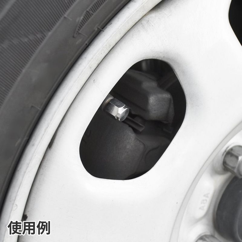 ワールドツール アストロプロダクツ AP タイヤバルブキャップ 真鍮 (4個入) 2016000010824(ご注文単位1パック)【直送品】