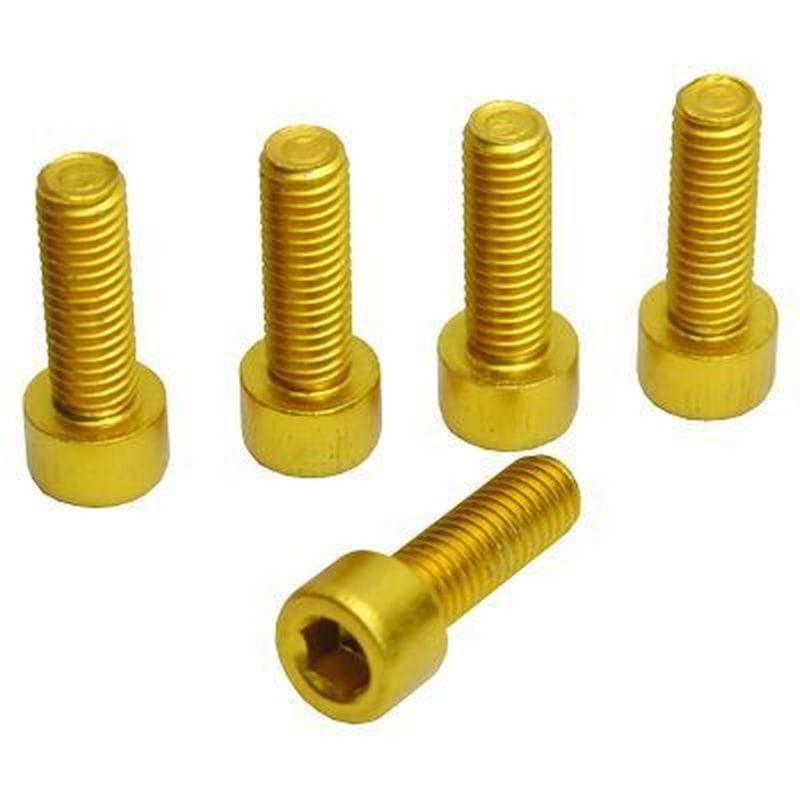ワールドツール アストロプロダクツ AP ボトルケージ用ボルト ゴールド (5個入) 2026000008301（ご注文単位1パック）【直送品】