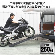 ワールドツール AP アルミラダー ブラック AL550(ご注文単位1個)【直送品】