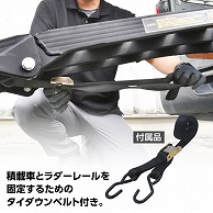 ワールドツール AP アルミラダー ブラック AL550(ご注文単位1個)【直送品】