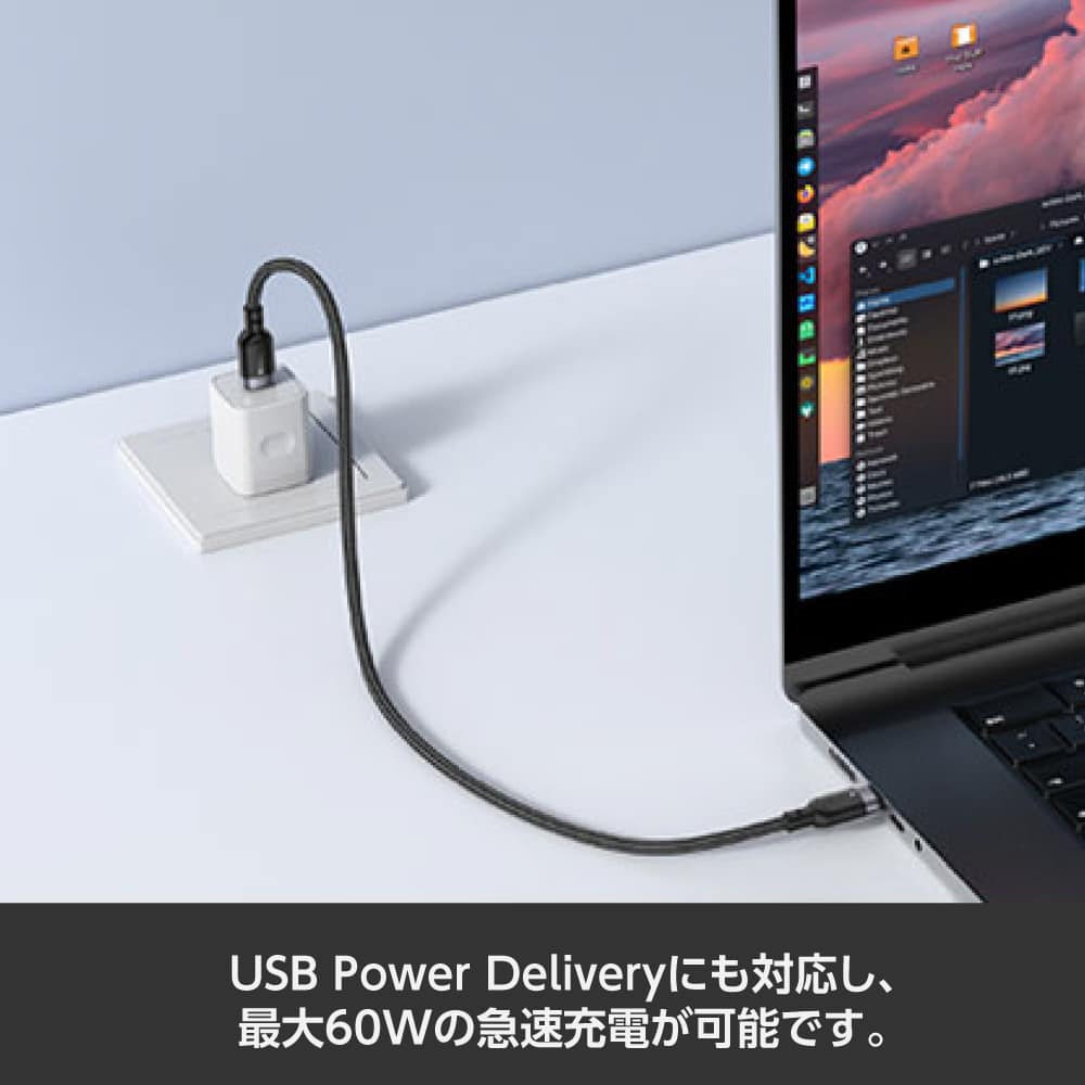 ワールドツール 0.3m 充電ケーブル C to C UBP214 1個(ご注文単位1個)【直送品】