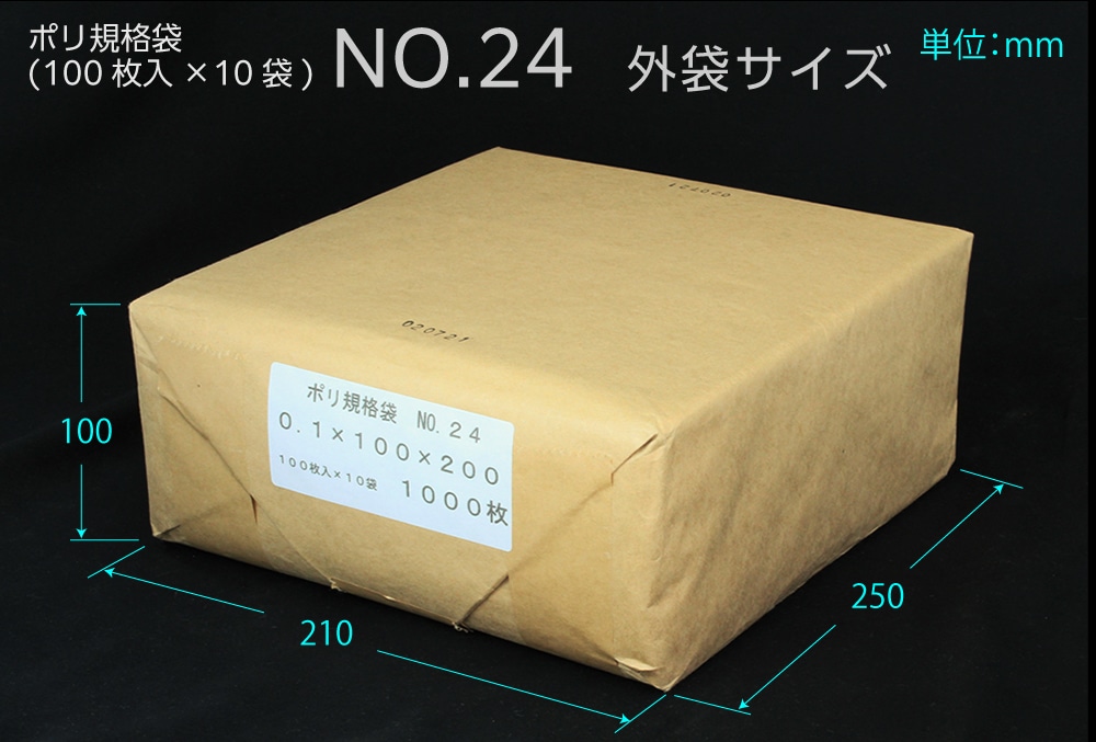 エヌプラン ポリ規格袋 #24 0.1×100×200mm (1000枚入) 1個 (ご注文単位1個)【直送品】