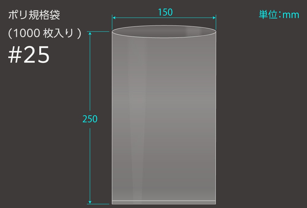 エヌプラン ポリ規格袋 #25 0.1×150×250mm (1000枚入) 1個 (ご注文単位1個)【直送品】