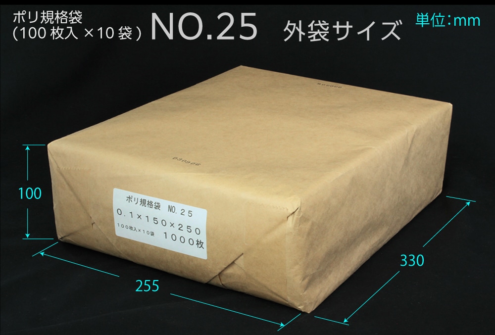 エヌプラン ポリ規格袋 #25 0.1×150×250mm (1000枚入) 1個 (ご注文単位1個)【直送品】