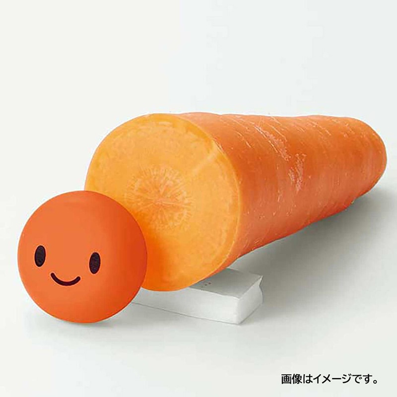 中山福 野菜鮮度保持具 ベジシャキ キャロちゃんダイちゃん MA-2156 1個(ご注文単位1個)【直送品】