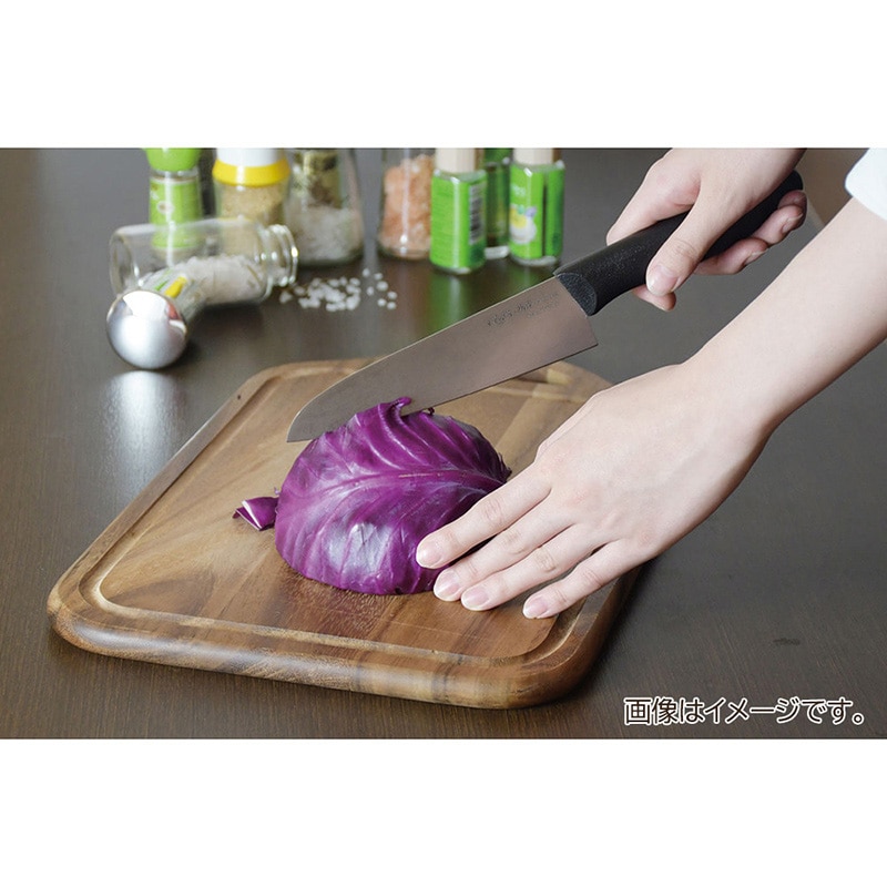 パール金属 チタン包丁 抗菌 ディスカバー 160mm FN-154 1個(ご注文単位1個)【直送品】