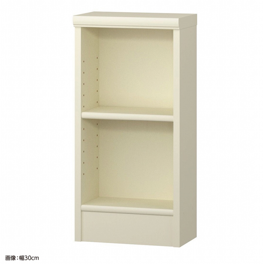 大洋 オーダーシェルフ ホワイト NCオーダー6030 S WH 幅300×奥行190×高さ600(mm) 1台（ご注文単位1台）【直送品】