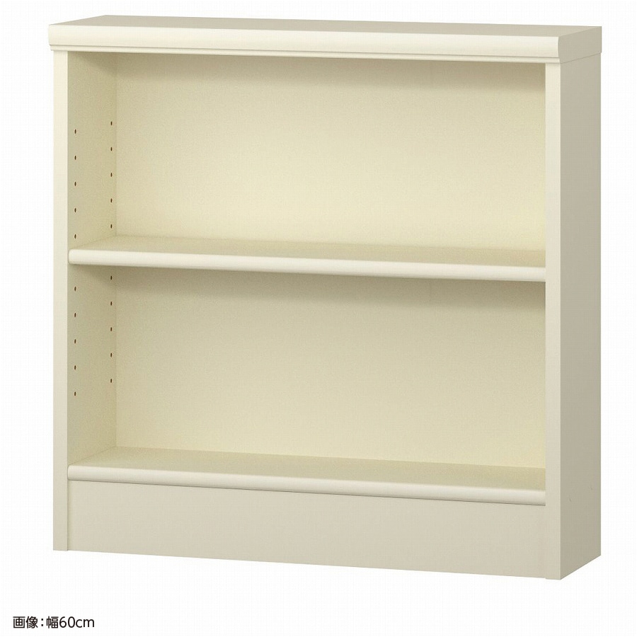 大洋 オーダーシェルフ ホワイト NCオーダー6060 S WH 幅600×奥行190×高さ600(mm) 1台(ご注文単位1台)【直送品】
