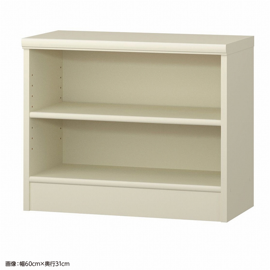 大洋 オーダーシェルフ ホワイト NCオーダー5055 SR WH 幅550×奥行250×高さ490(mm) 1台（ご注文単位1台）【直送品】