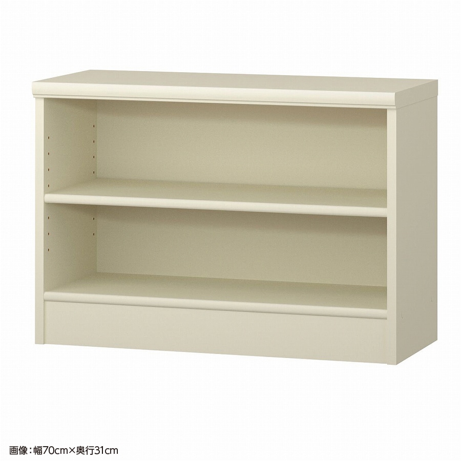 大洋 オーダーシェルフ ホワイト NCオーダー5065 SR WH 幅650×奥行250×高さ490(mm) 1台（ご注文単位1台）【直送品】