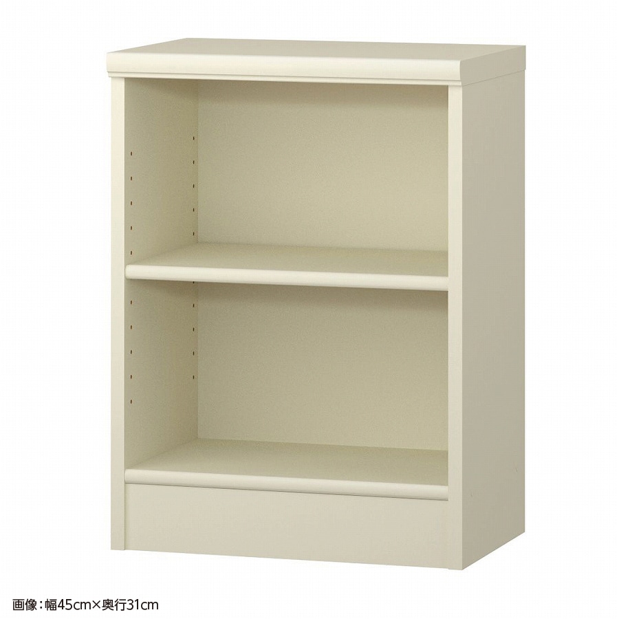 大洋 オーダーシェルフ ホワイト NCオーダー6045 SR WH 幅450×奥行250×高さ600(mm) 1台（ご注文単位1台）【直送品】