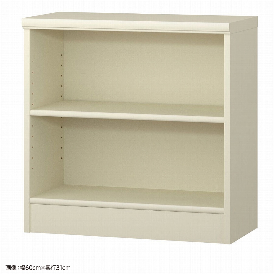 大洋 オーダーシェルフ ホワイト NCオーダー6060 SR WH 幅600×奥行250×高さ600(mm) 1台（ご注文単位1台）【直送品】