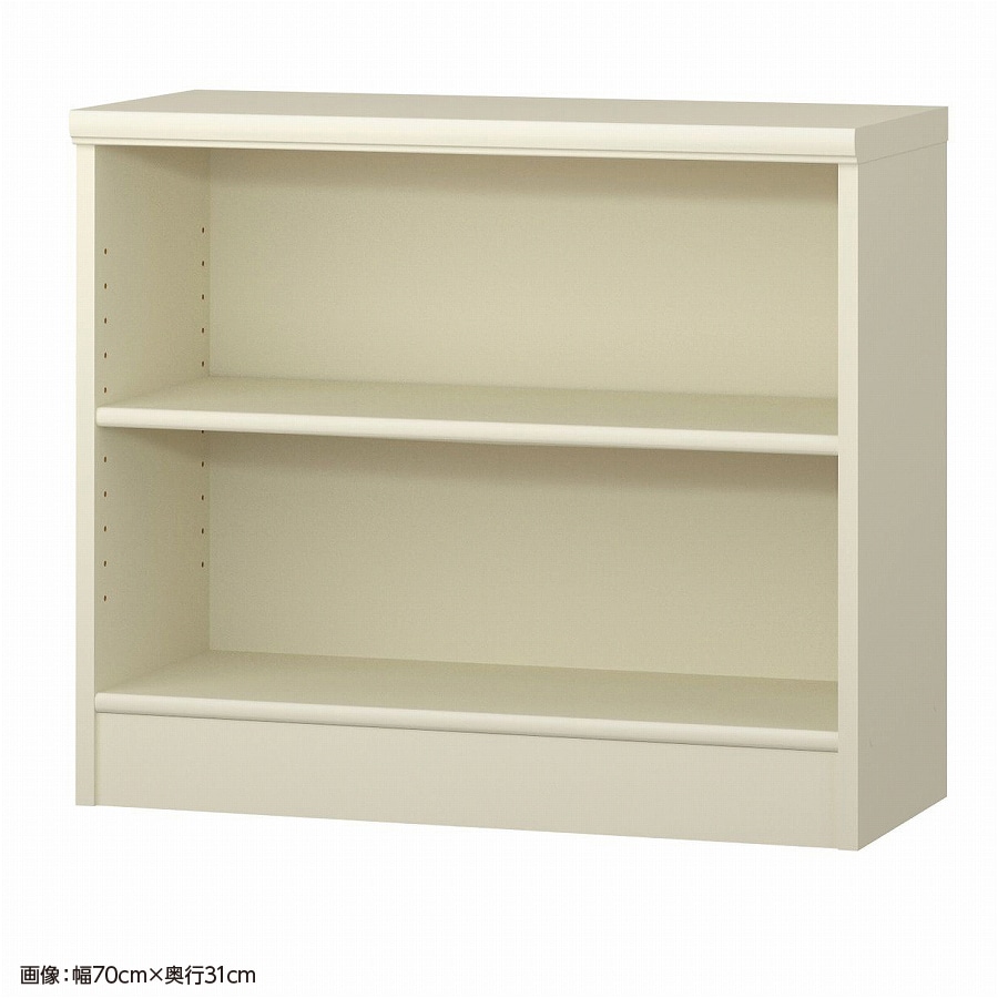 大洋 オーダーシェルフ ホワイト NCオーダー6065 SR WH 幅650×奥行250×高さ600(mm) 1台（ご注文単位1台）【直送品】