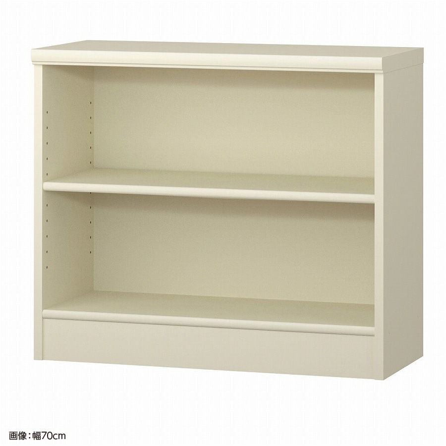 大洋 オーダーシェルフ ホワイト NCオーダー6065 R WH 幅650×奥行310×高さ600(mm) 1台(ご注文単位1台)【直送品】