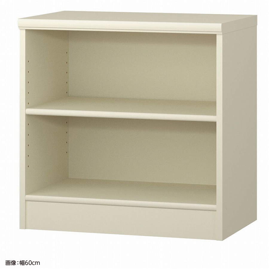 大洋 オーダーシェルフ ホワイト NCオーダー6055 MD WH 幅550×奥行400×高さ600(mm) 1台（ご注文単位1台）【直送品】