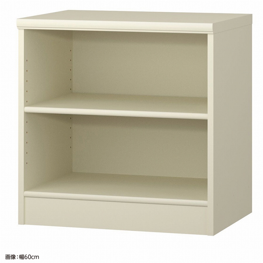 大洋 オーダーシェルフ ホワイト NCオーダー6060 D WH 幅600×奥行460×高さ600(mm) 1台（ご注文単位1台）【直送品】