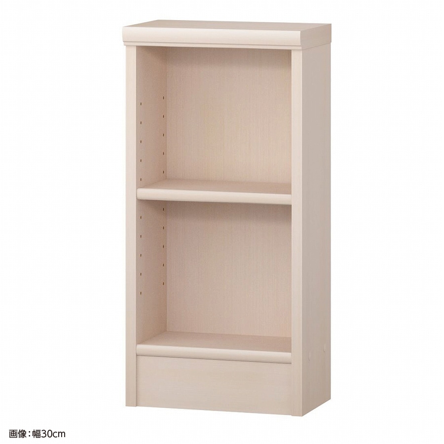 大洋 オーダーシェルフ ライトナチュラル NCオーダー6025 S LN 幅250×奥行190×高さ600(mm) 1台（ご注文単位1台）【直送品】