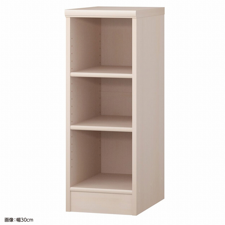 大洋 オーダーシェルフ ライトナチュラル NCオーダー8025 D LN 幅250×奥行460×高さ800(mm) 1台（ご注文単位1台）【直送品】