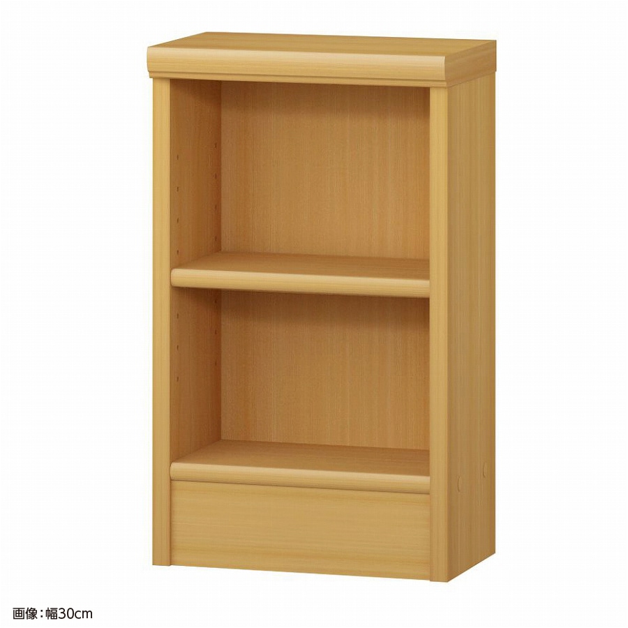 大洋 オーダーシェルフ ARオーダー5030 S 幅300×奥行190×高さ490(mm) 1台（ご注文単位1台）【直送品】