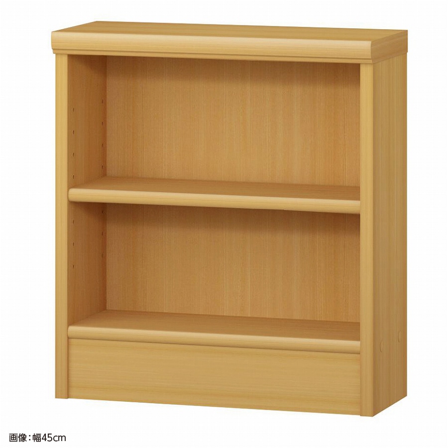 大洋 オーダーシェルフ ARオーダー5045 S 幅450×奥行190×高さ490(mm) 1台（ご注文単位1台）【直送品】