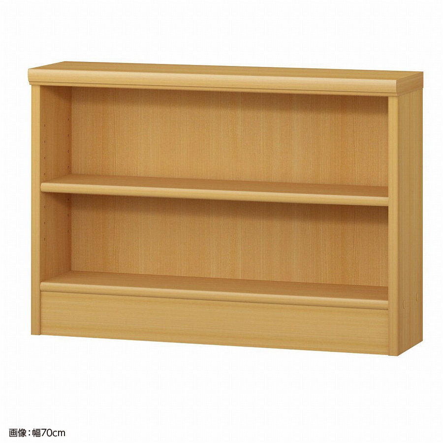 大洋 オーダーシェルフ ARオーダー5070 S 幅700×奥行190×高さ490(mm) 1台（ご注文単位1台）【直送品】
