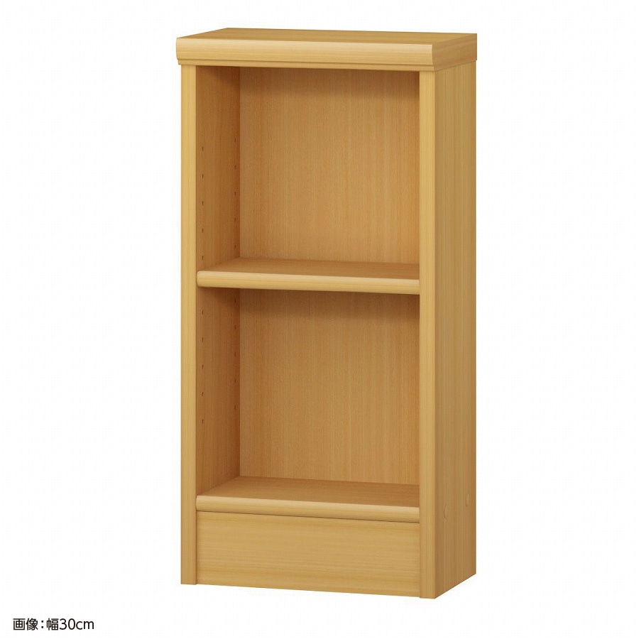 大洋 オーダーシェルフ ARオーダー6025 S 幅250×奥行190×高さ600(mm) 1台（ご注文単位1台）【直送品】