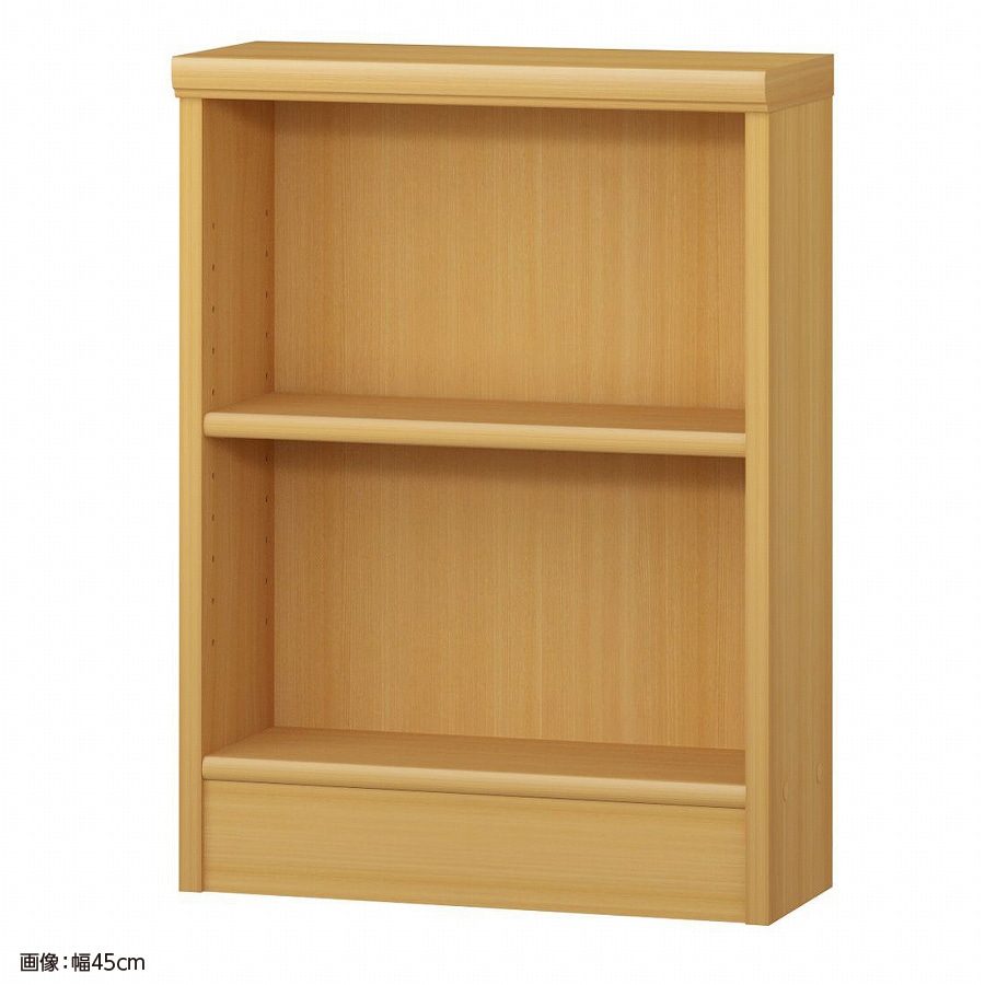 大洋 オーダーシェルフ ARオーダー6050 S 幅500×奥行190×高さ600(mm) 1台（ご注文単位1台）【直送品】