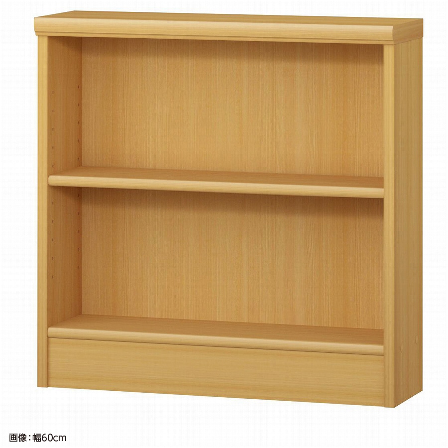 大洋 オーダーシェルフ ARオーダー6055 S 幅550×奥行190×高さ600(mm) 1台（ご注文単位1台）【直送品】