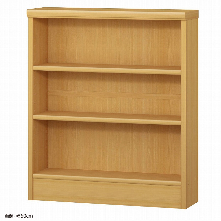 大洋 オーダーシェルフ ARオーダー7060 S 幅600×奥行190×高さ700(mm) 1台（ご注文単位1台）【直送品】