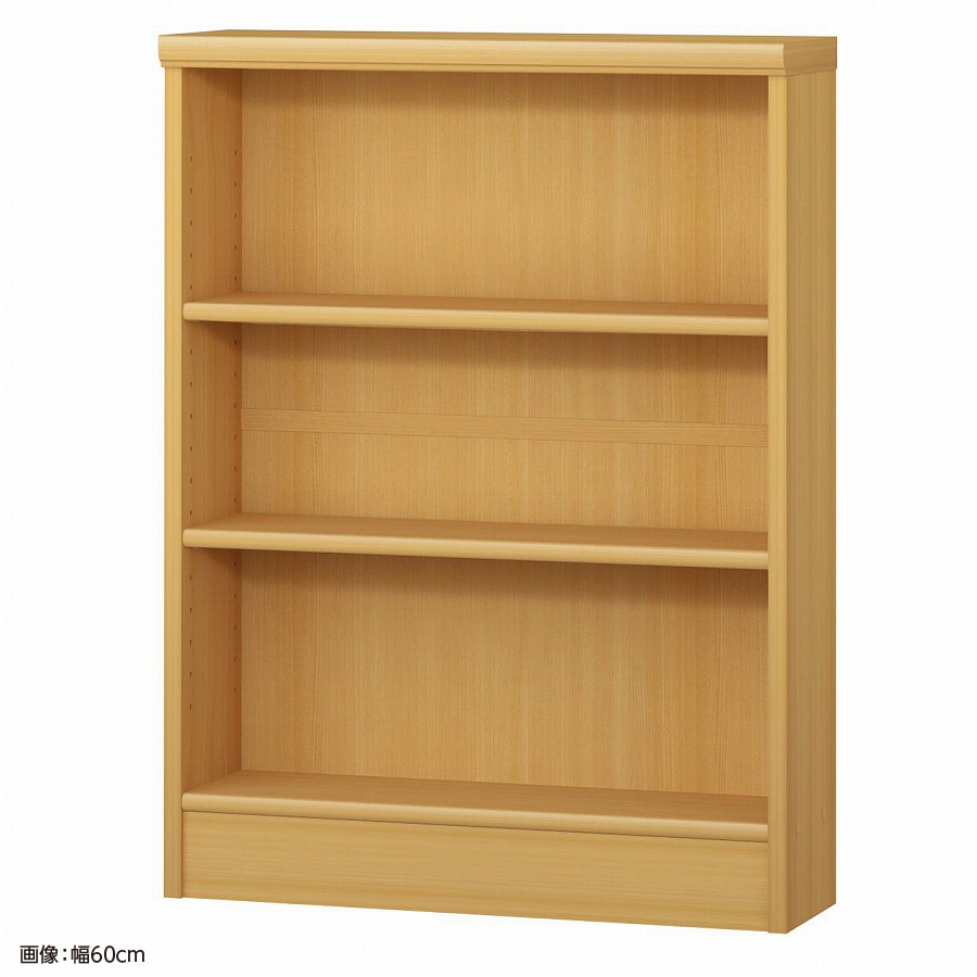 大洋 オーダーシェルフ ARオーダー8055 S 幅550×奥行190×高さ800(mm) 1台（ご注文単位1台）【直送品】