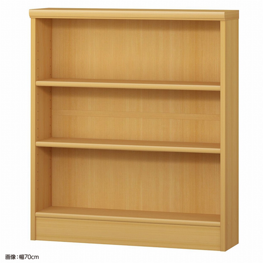 大洋 オーダーシェルフ ARオーダー8065 S 幅650×奥行190×高さ800(mm) 1台（ご注文単位1台）【直送品】