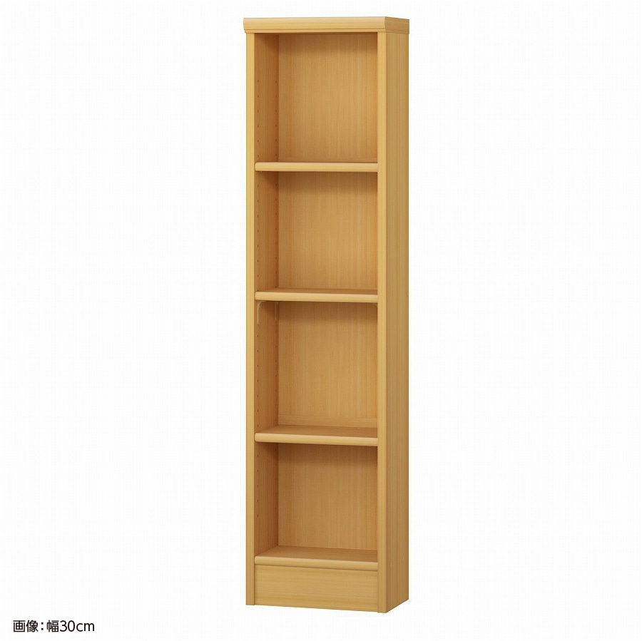 大洋 オーダーシェルフ ARオーダー1225 S 幅250×奥行190×高さ1170(mm) 1台（ご注文単位1台）【直送品】