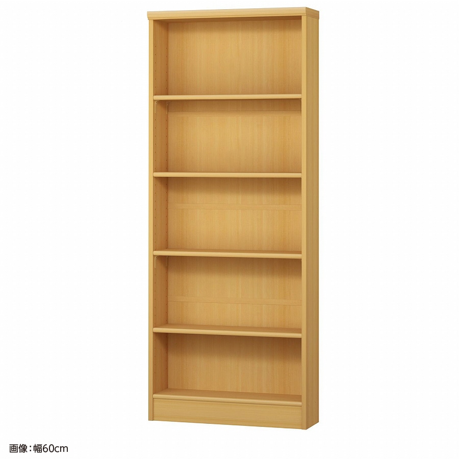 大洋 オーダーシェルフ ARオーダー1555 S 幅550×奥行190×高さ1499(mm) 1台（ご注文単位1台）【直送品】