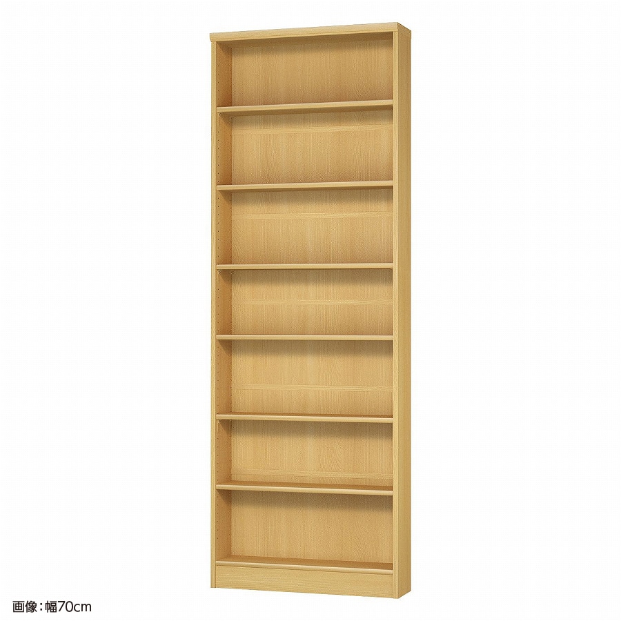 大洋 オーダーシェルフ ARオーダー2065 S 幅650×奥行190×高さ2000(mm) 1台（ご注文単位1台）【直送品】