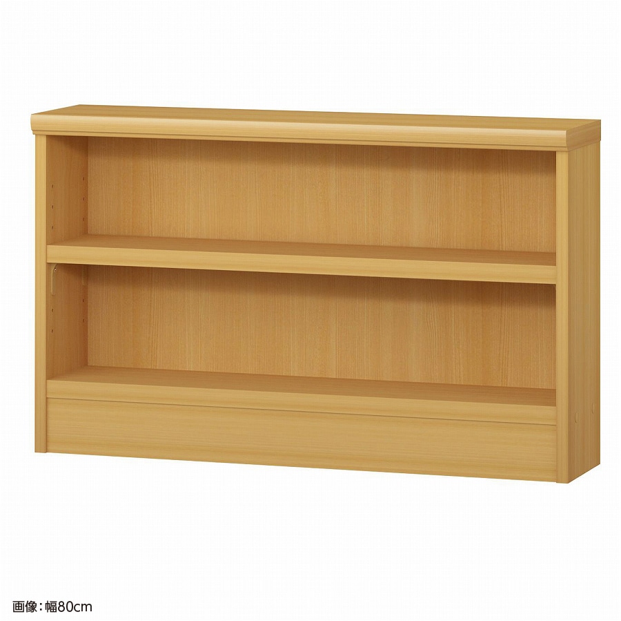 大洋 オーダーシェルフ ARオーダータフ5080 S 幅800×奥行190×高さ490(mm) 1台（ご注文単位1台）【直送品】