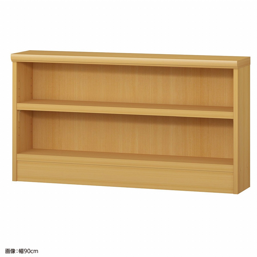 大洋 オーダーシェルフ ARオーダータフ5085 S 幅850×奥行190×高さ490(mm) 1台(ご注文単位1台)【直送品】