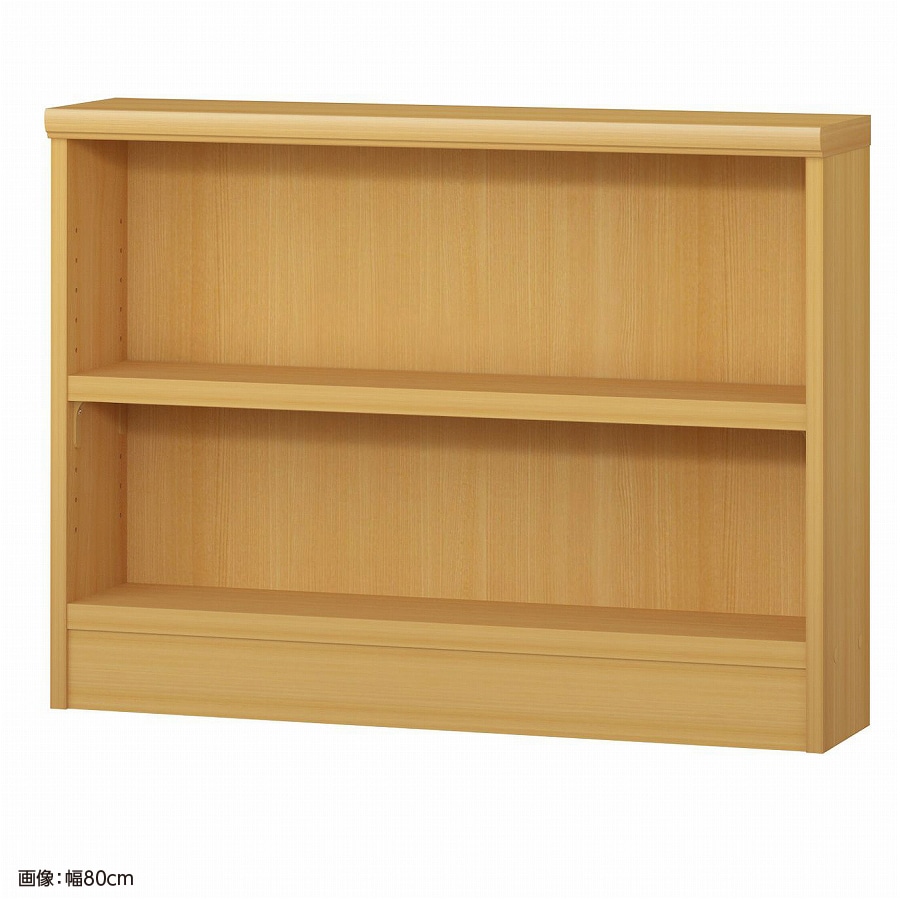 大洋 オーダーシェルフ ARオーダータフ6075 S 幅750×奥行190×高さ600(mm) 1台(ご注文単位1台)【直送品】