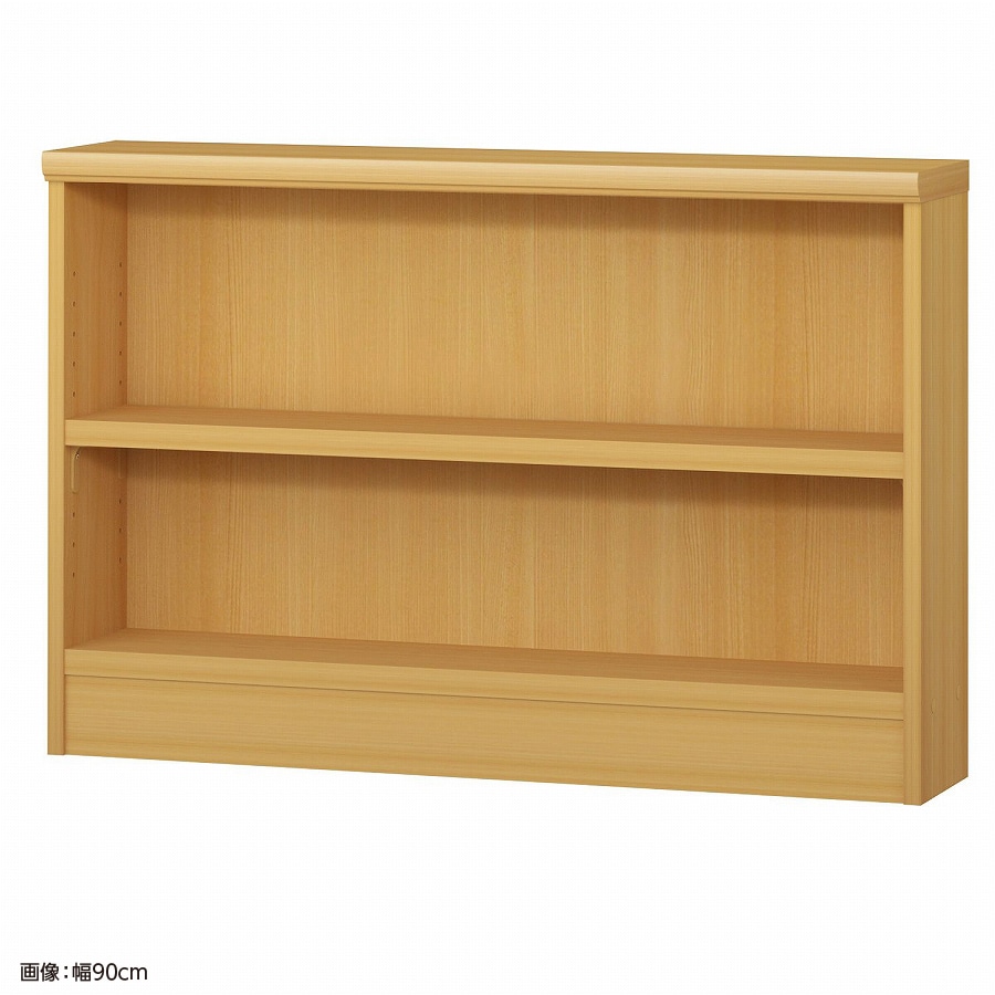 >大洋 オーダーシェルフ ARオーダータフ6085 S 幅850×奥行190×高さ600(mm) 1台(ご注文単位1台)【直送品】