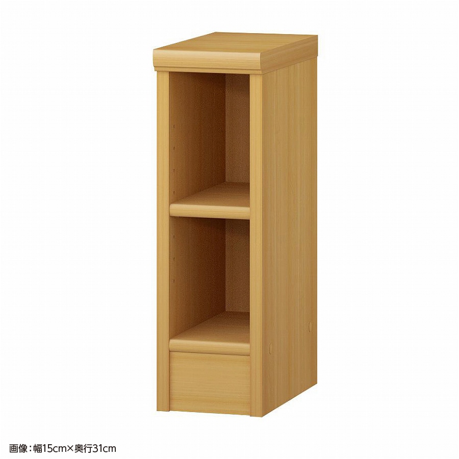 大洋 オーダーシェルフ ARオーダー5015 SR 幅150×奥行250×高さ490(mm) 1台（ご注文単位1台）【直送品】