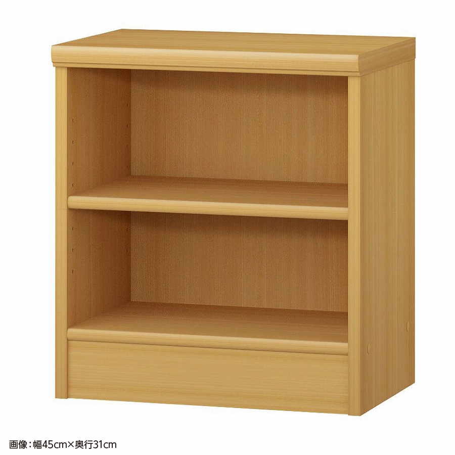 大洋 オーダーシェルフ ARオーダー5050 SR 幅500×奥行250×高さ490(mm) 1台（ご注文単位1台）【直送品】