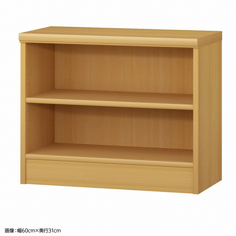 大洋 オーダーシェルフ ARオーダー5055 SR 幅550×奥行250×高さ490(mm) 1台（ご注文単位1台）【直送品】